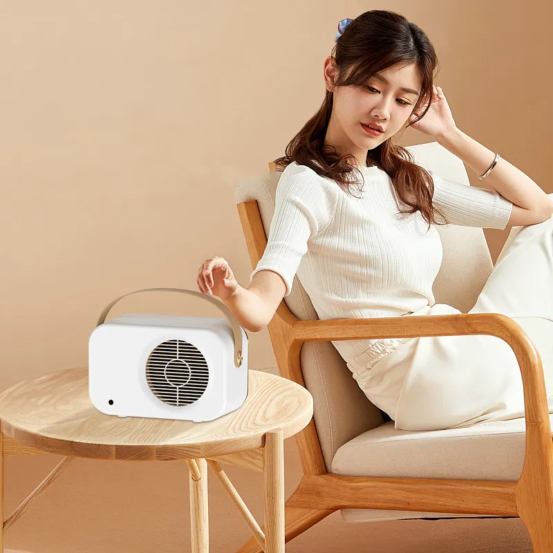 Desktop Heater Wholesale, Electric Heaters With ABS Material-4